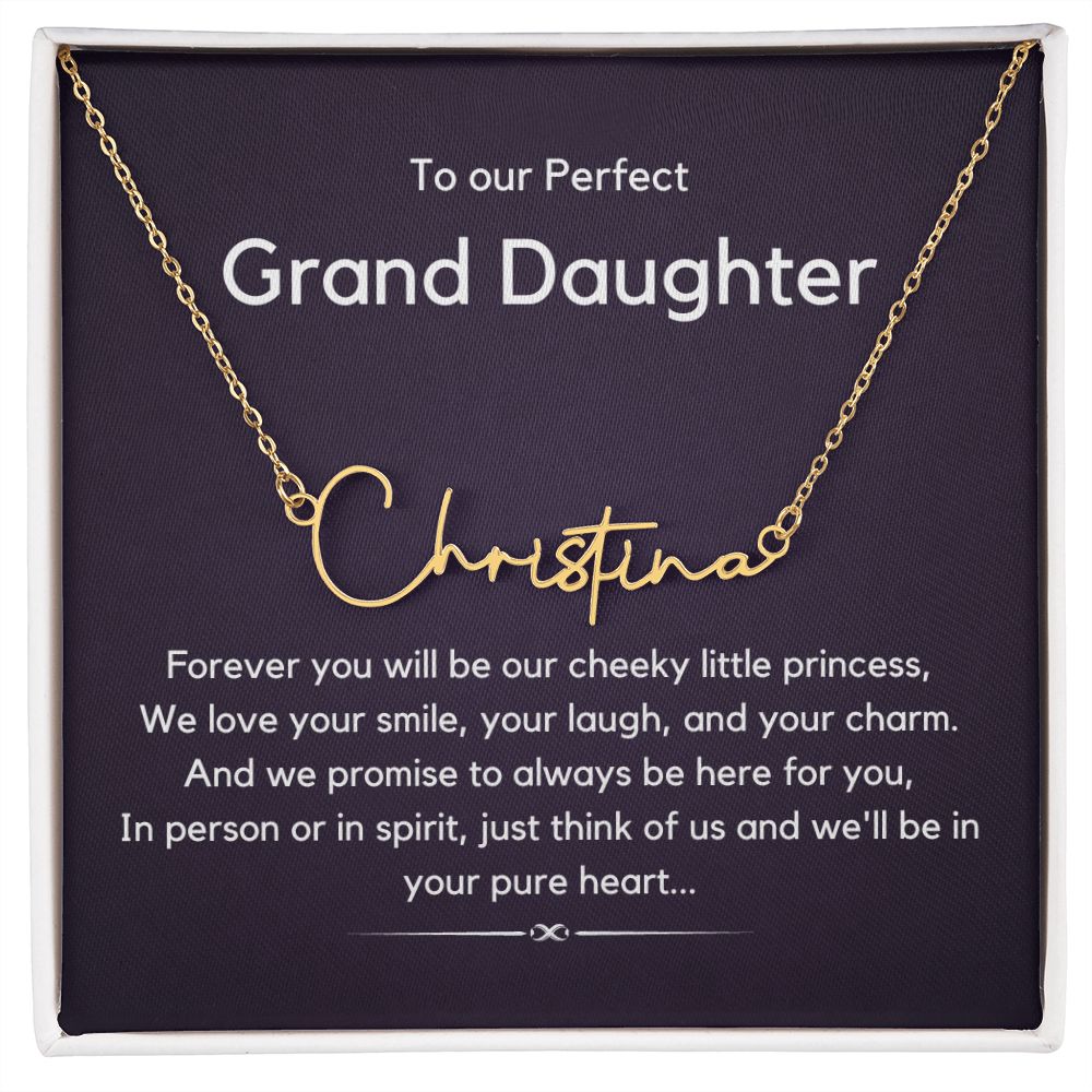 Perfect Granddaughter - Signature Style Customizable Name Necklace